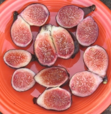 Negronne breba figs (990x1024)