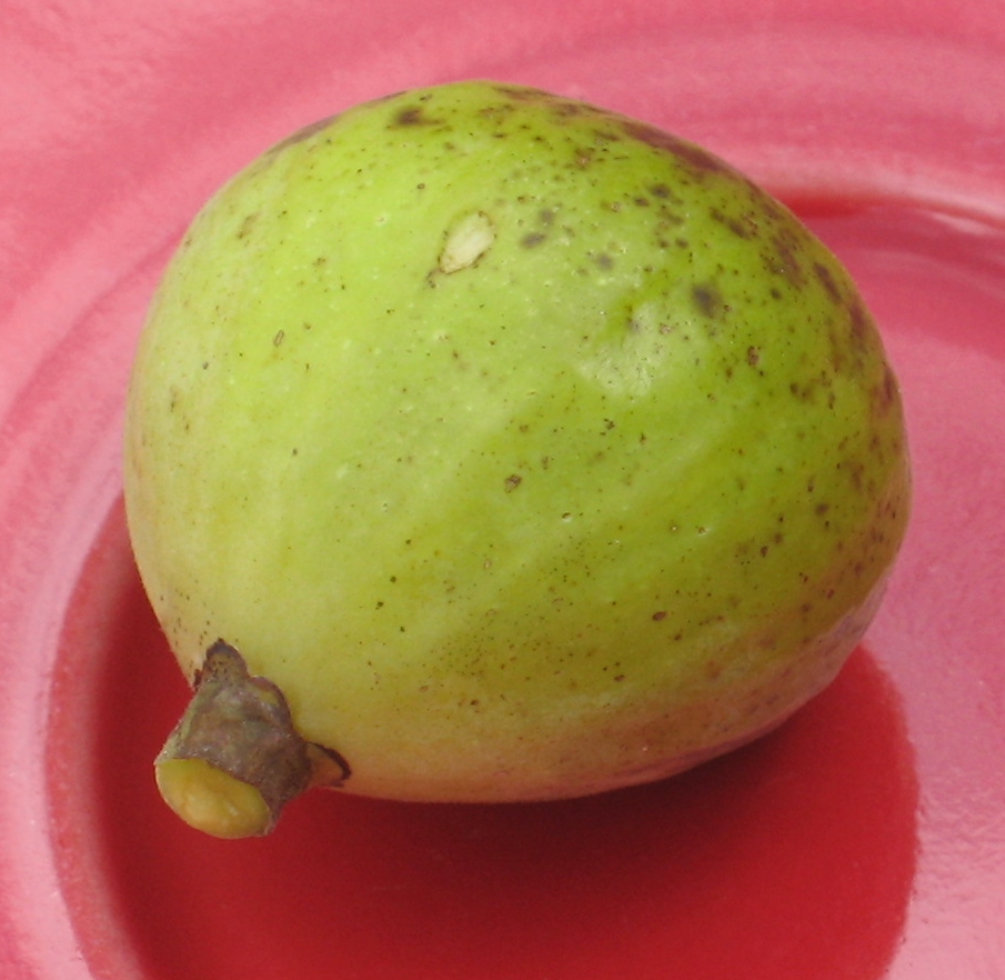 Sucrette – Mountain Figs